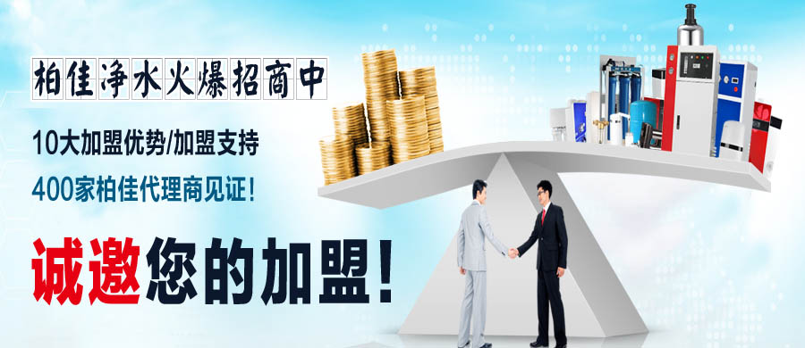 柏佳凈水VI形象,畫(huà)冊(cè),五折頁(yè),專(zhuān)賣(mài)店招商形象欣賞9